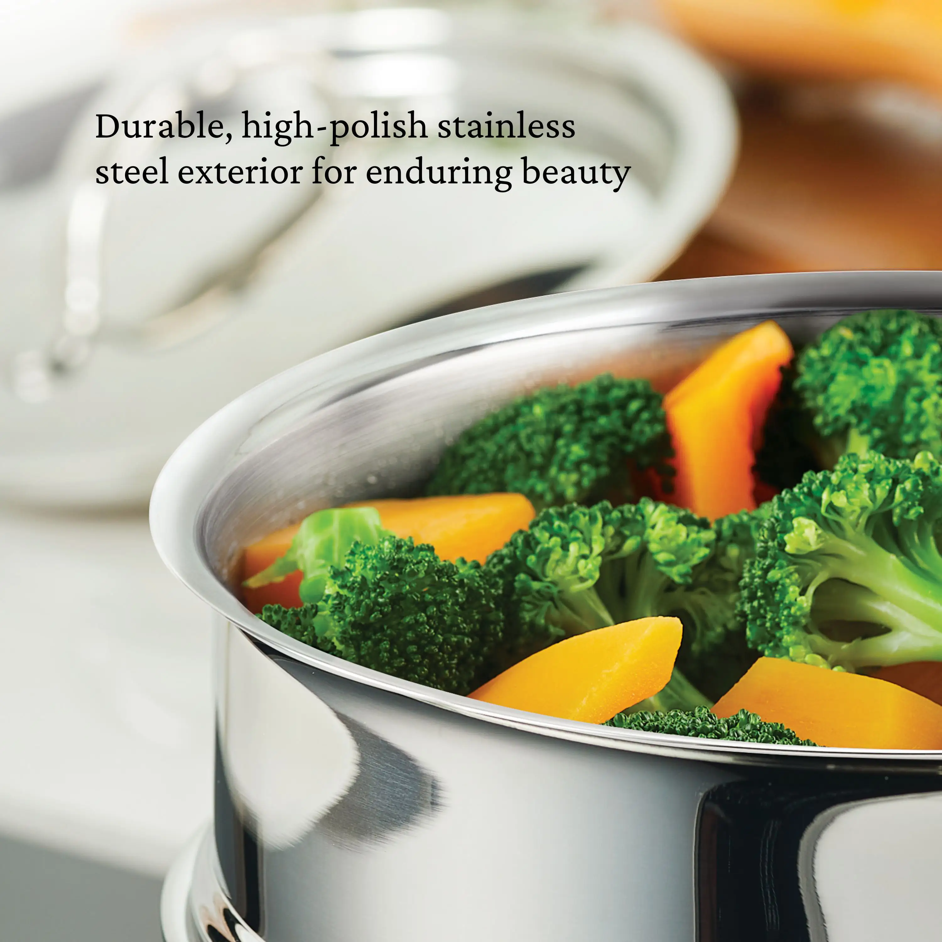 Polished Clad Stainless Steel 3-quart Soup Pot and Steamer Set - Image 5